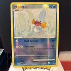 Mudkip