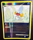 Mudkip