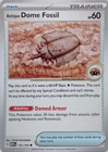 Antique Dome Fossil