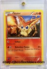 Victini