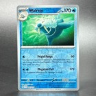 Walrein