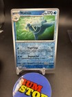 Walrein