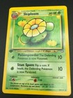 Skiploom