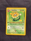 Skiploom