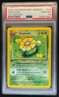 Skiploom