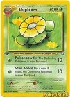 Skiploom
