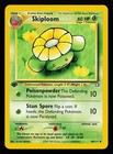 Skiploom