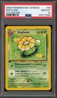 Skiploom