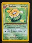 Skiploom