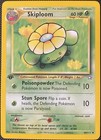 Skiploom