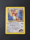 Koga's Pidgeotto