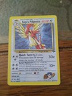 Koga's Pidgeotto