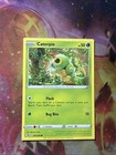 Caterpie