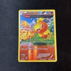 Torchic
