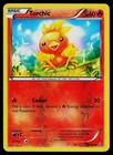 Torchic