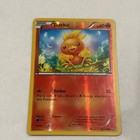 Torchic