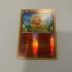 Torchic