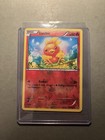 Torchic