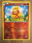 Torchic