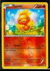 Torchic