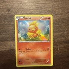 Torchic
