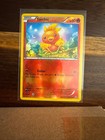 Torchic