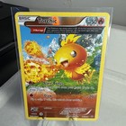 Torchic