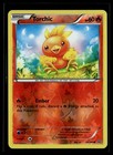 Torchic