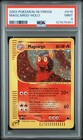 Magcargo
