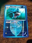 Sharpedo