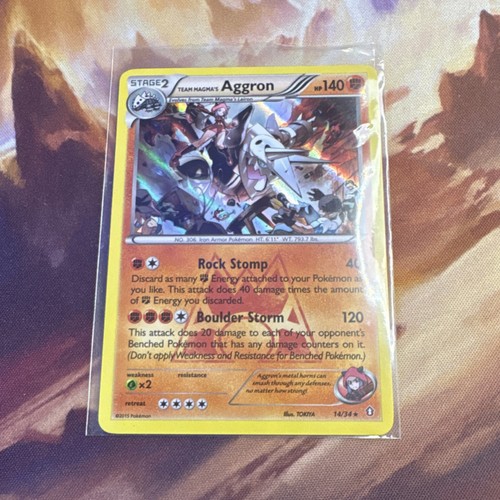 Team Magma's Aggron