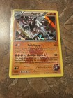 Team Magma's Aggron