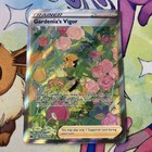 Gardenia's Vigor