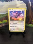 Noibat