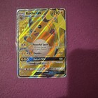 Raichu GX