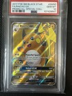 Raichu GX