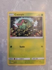 Caterpie