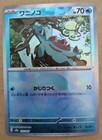 Totodile