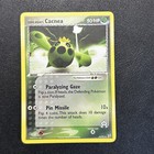 Cacnea