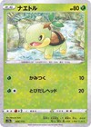 Turtwig