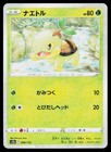 Turtwig