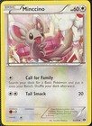 Minccino