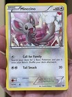 Minccino