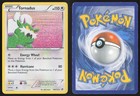 Tornadus