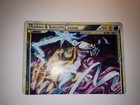 Raikou & Suicune