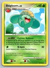 Skiploom