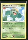 Skiploom