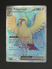 Pidgeot ex
