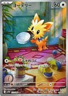 Lillipup