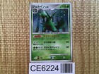 Sceptile EX